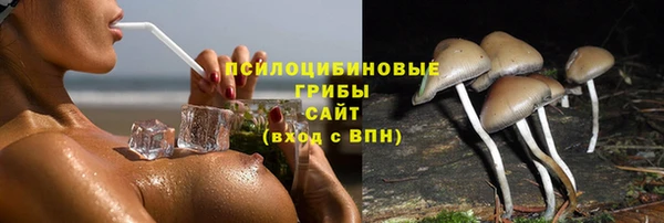 бутират Бородино
