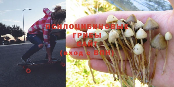 бутират Бородино
