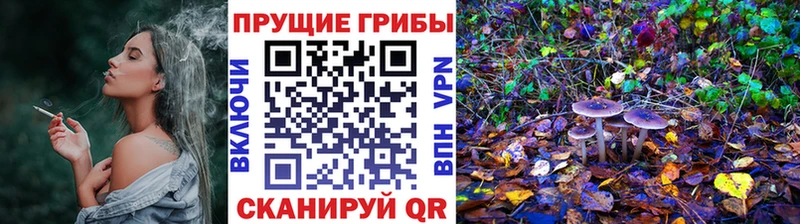 Купить закладки  Губкинский  Галлюциногенные грибы Psilocybine cubensis 